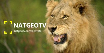 natgeo tv com activate