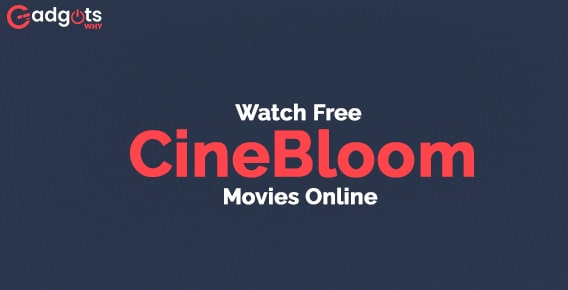 How to Watch Free CineBloom Movies Online?