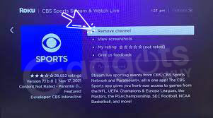 Hide Channels on Roku